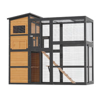 Cat Cages & Catios