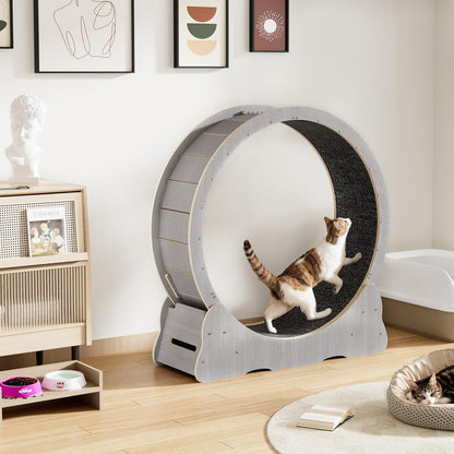 YODOLLA Cat Wheel for Indoor Cats, 46” Quiet Large Cat Treadmill