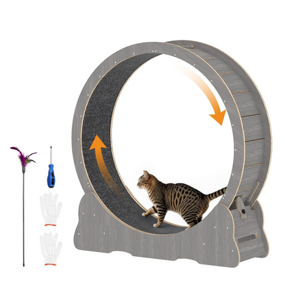 YODOLLA Cat Wheel for Indoor Cats, 46” Quiet Large Cat Treadmill